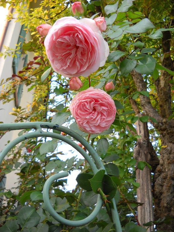 체로브란코 La Casa Del Giardiniere 빌라 외부 사진